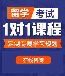 骚屁股网站留学考试一对一精品课